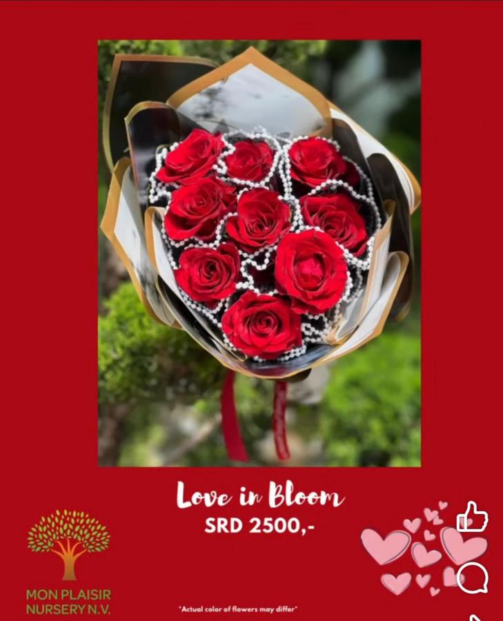 LOVE IN BLOOM image