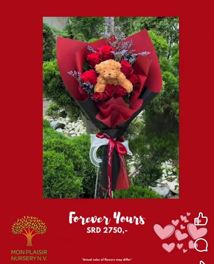 FOREVER YOURS image