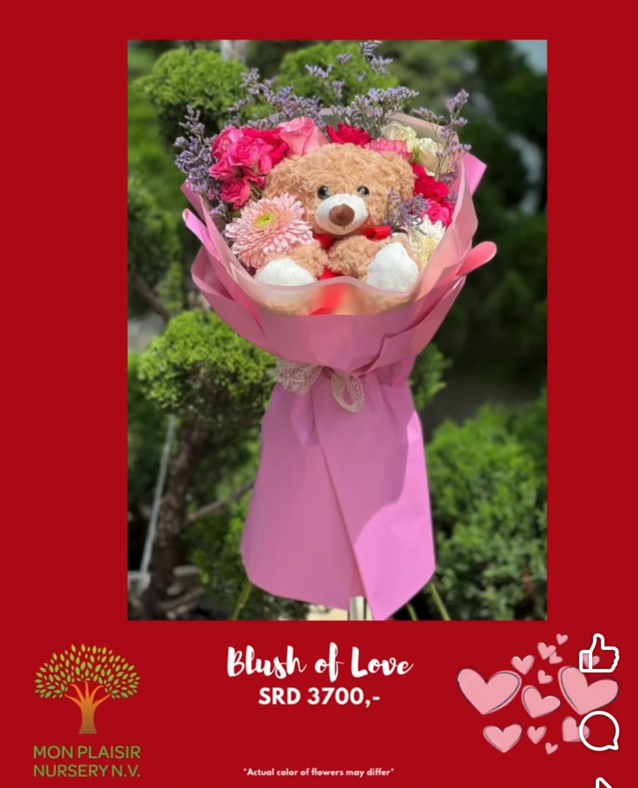 BLUSH OF LOVE image